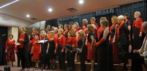 Basingstoke Ladies Choir