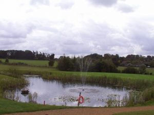 dcp_0363