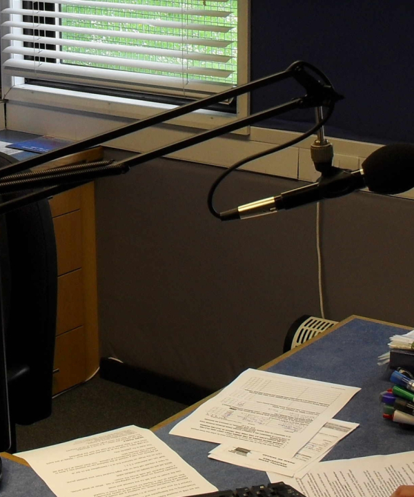 Microphone Blue - Image 3