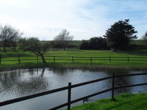 SDC10208