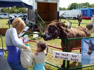 Dallas Donkey Sanctury